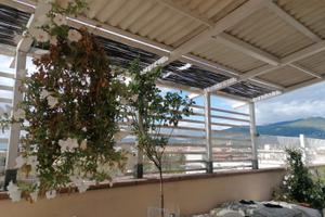 Casa Letizia Firenze - Anno 2026