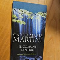 libroIl comune sentire