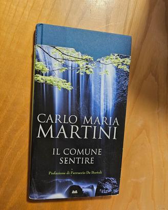 libroIl comune sentire