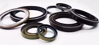 GUARNIZIONE PARAOLIO FORCELLA BMW