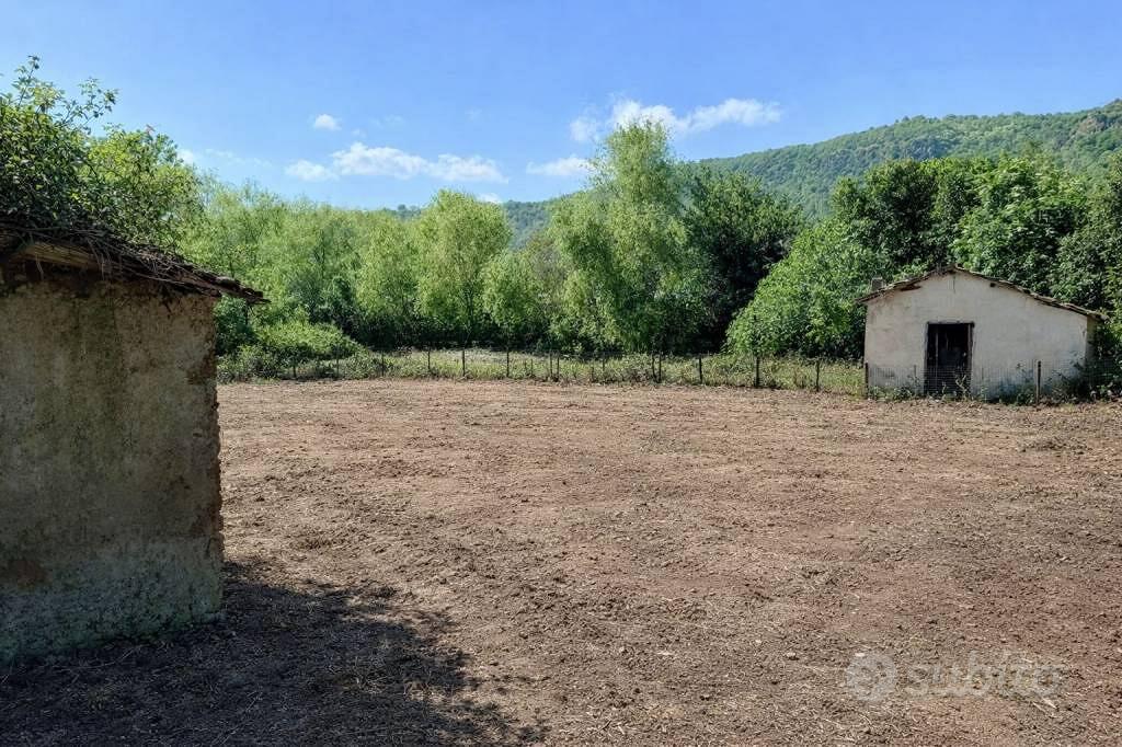 Rustico / Casale di 5500 m² a Trevignano Romano - Vista 3
