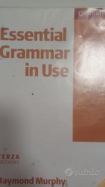 essential grammar in use