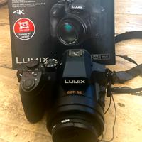 Panasonic Lumix DMC FZ300