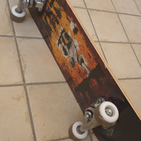 Skate board + protezione