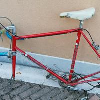 bici da corsa bottecchia 