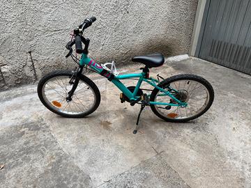 Bicicletta 20 Pollici