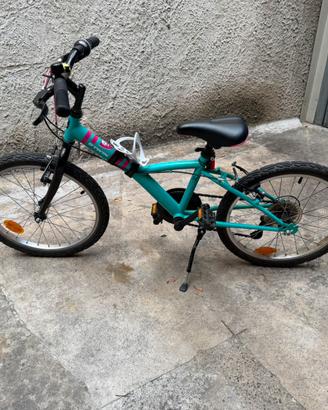 Bicicletta 20 Pollici
