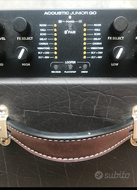 Fender Junior go