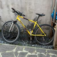Bici mountainbike