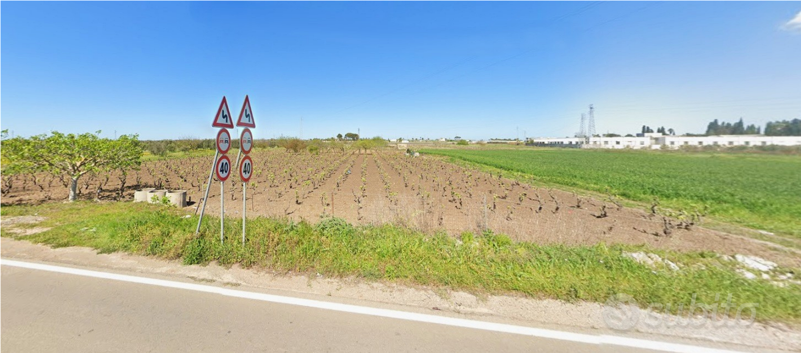 Vendita vigneto e frutteto - Vista 4