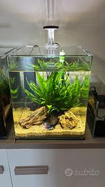 Aquario amtra 30 litri