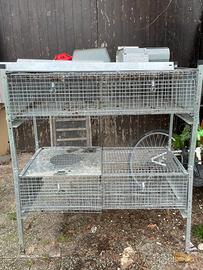 Gabbia per pulcini