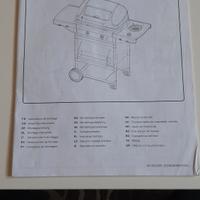 barbeque a pietra lavica