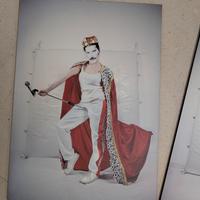 quadri stampe Freddy mercury