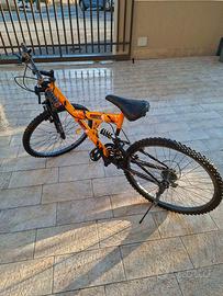 bicicletta. mountain bike