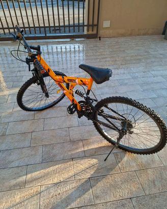 bicicletta. mountain bike