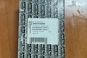 Centralina ktm/hsq 125