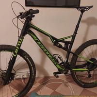 Bicicletta mountain bike