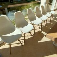 6  Sedie in propilene