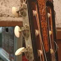 Chitarra classica Argentina 
