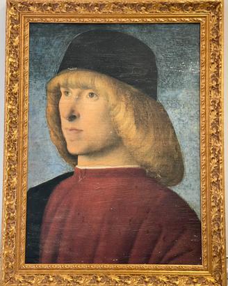 Quadro del Giambellino ritratto giovane senatore