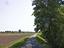 Immagine 12