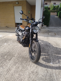 Triumph scrambler street 900