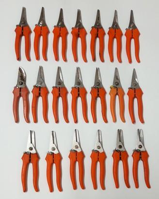 Forbici per vendemmia e giardinaggio