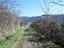 Immagine 11