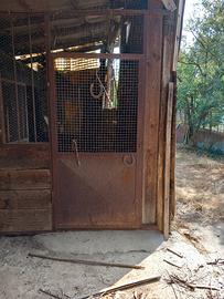 porte per box cavalli 
