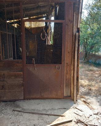 porte per box cavalli 