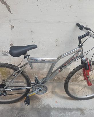bici mtb