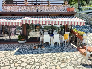 Villa con piscina2 livelli con 4 ettari di terreno