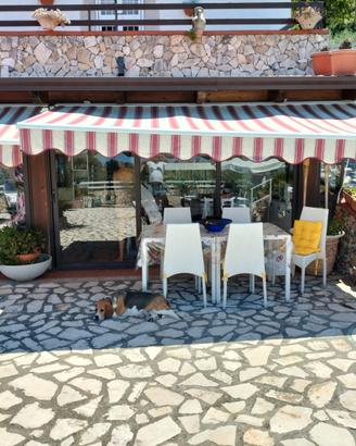 Villa con piscina2 livelli con 4 ettari di terreno
