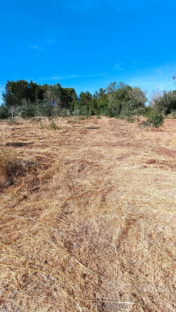 Terreno agricolo - Vista 4