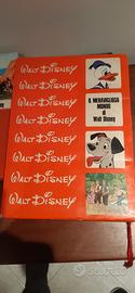 Cofanetto della Walt Disney