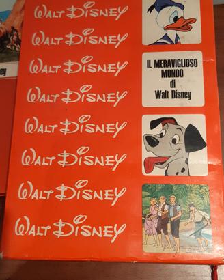 Cofanetto della Walt Disney