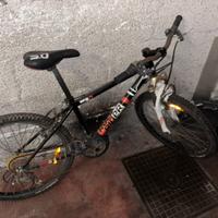 bicicletta da ragazzo