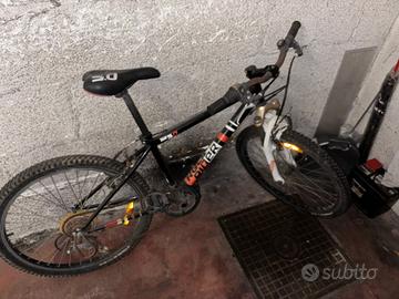 bicicletta da ragazzo