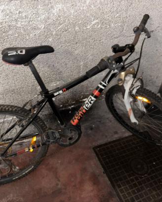 bicicletta da ragazzo