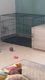 kennel per cani