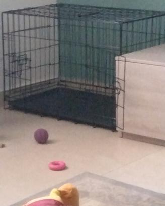 kennel per cani
