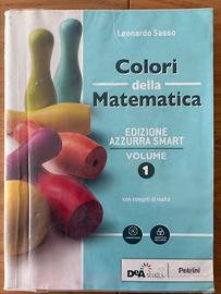 COLORI DELLA MATEMATICA VOL 1