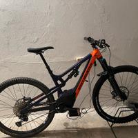 Rocky mountain instinct