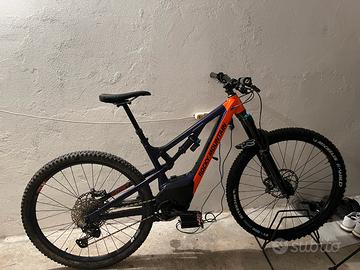 Rocky mountain instinct