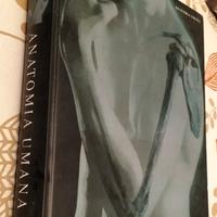 Anatomia umana Martini Timmons Tallitsch