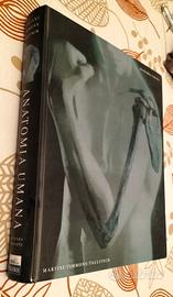 Anatomia umana Martini Timmons Tallitsch