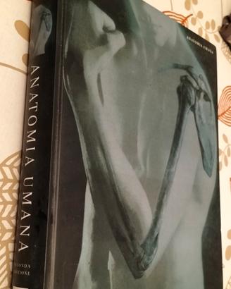 Anatomia umana Martini Timmons Tallitsch