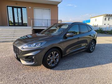 Ford Kuga 1.5 EcoBlue 120 CV aut. 2WD ST-Line Desi