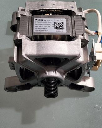 Motore Inverter Lavatrice Welling YXT220-2C(L)